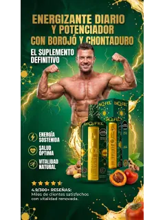 BiQ FEL Bebida Energizante Natural
